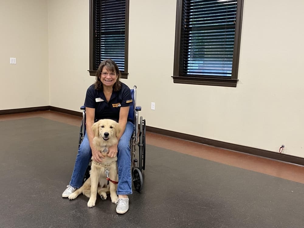 The Dog Alliance trains service dogs through free program for veterans