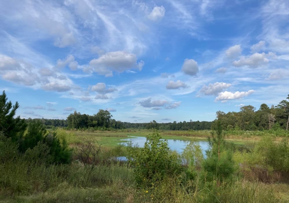 Spring Creek Greenway work underway to add paved trails