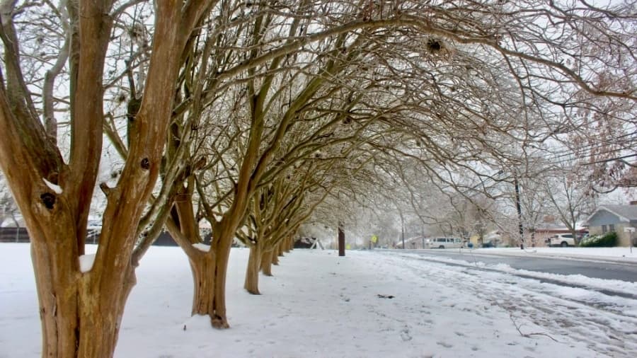 WEIGH IN: We want to hear how Austin residents are preparing for winter this year