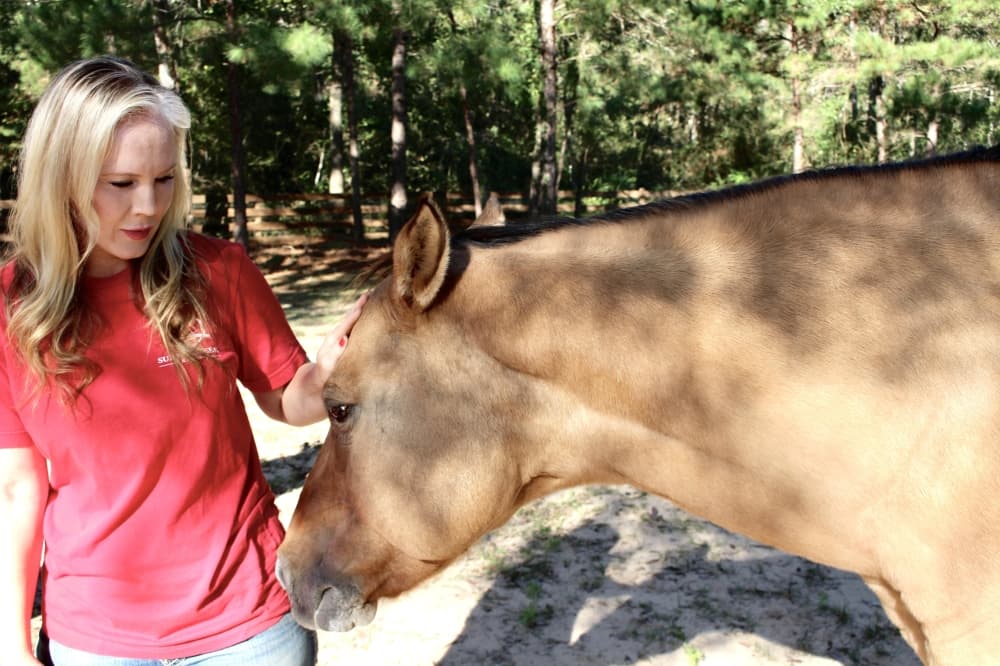 Sunny Creek Ranch program provides free therapy to veterans