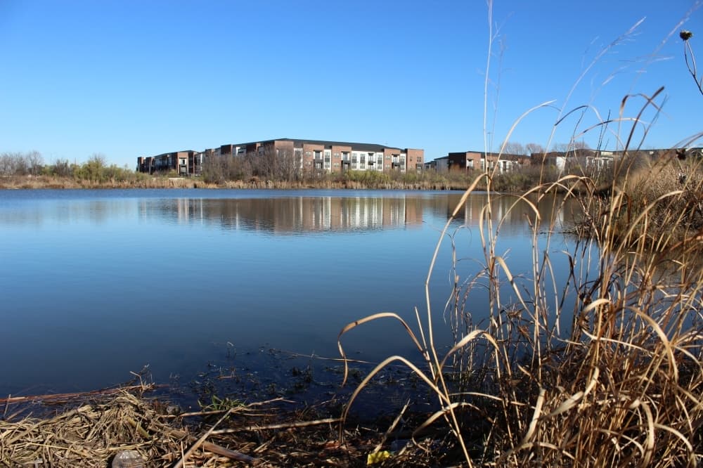 Lewisville Fishing Barge shut down to address safety concerns