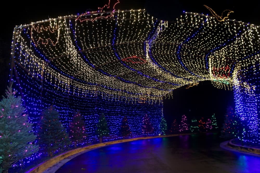 Several tunnels of light are spread throughout the trail. (Ben Thompson/Community Impact Newspaper)