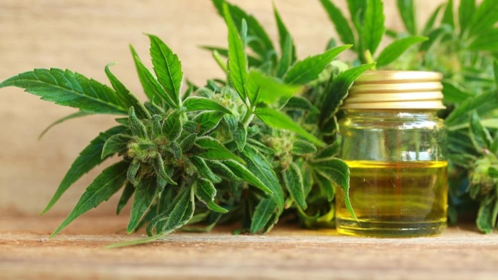 CBD Zar opening Frisco location in statewide expansion