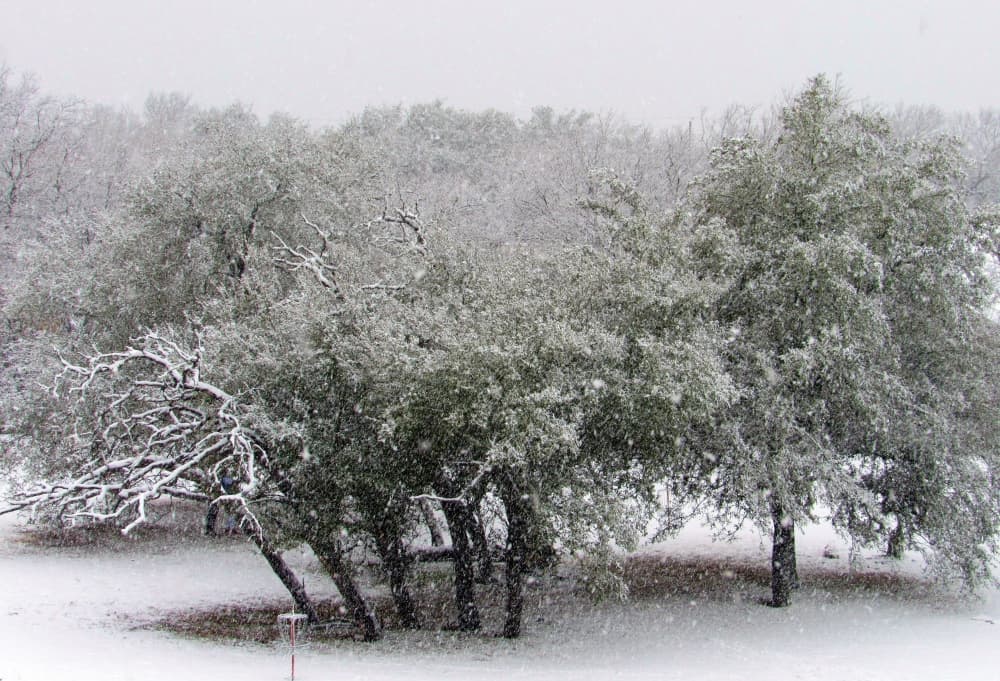 City of Kyle is one step closer to winter weather preparedness