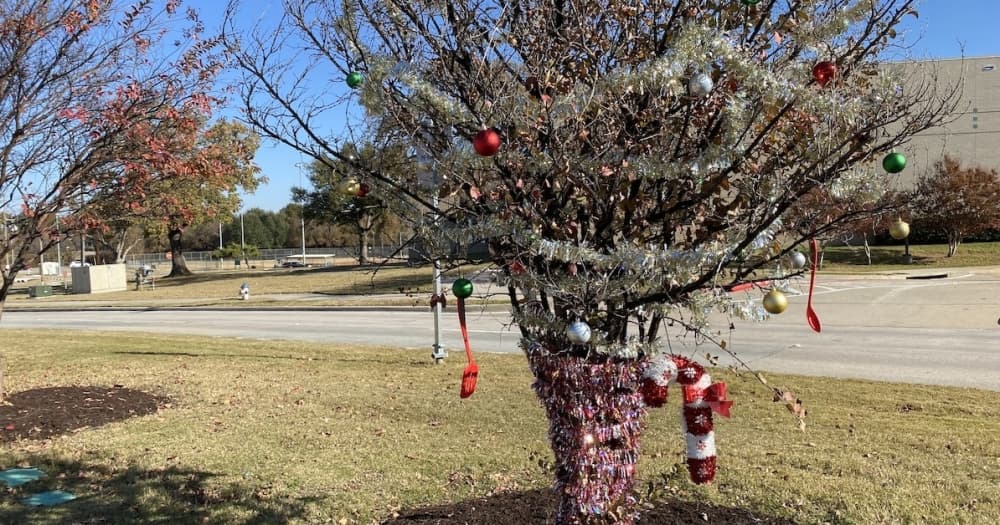 Flower Mound hosts 'Sad Tree Along the Road' program for 11th year