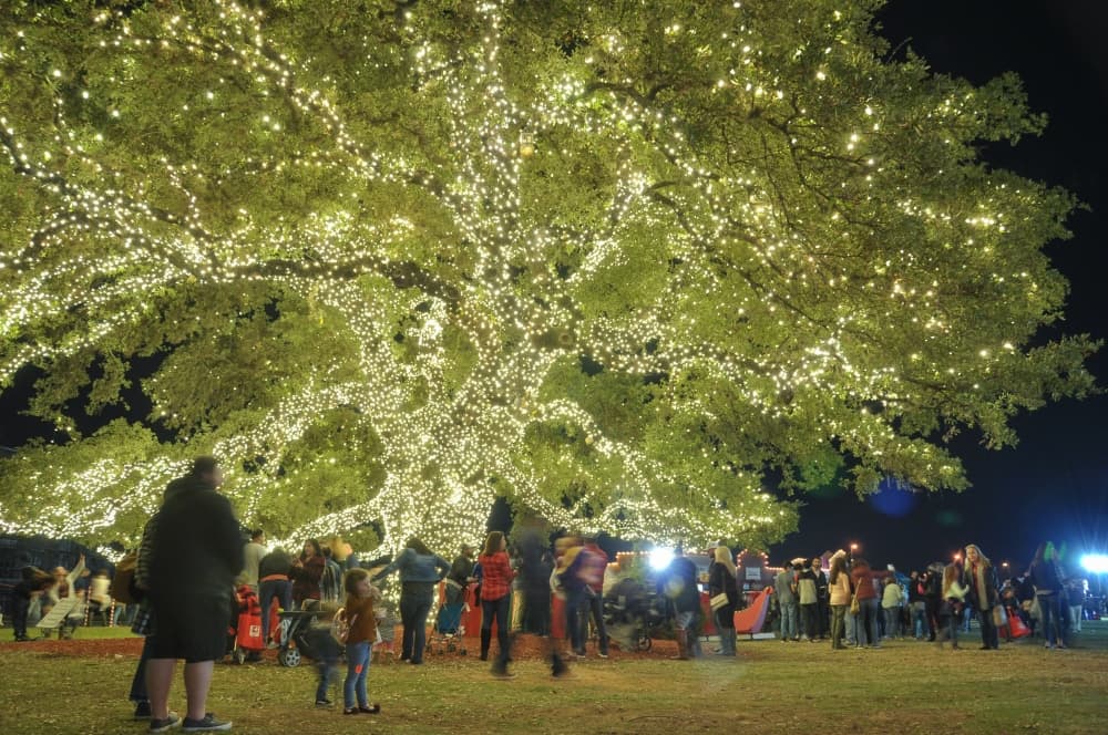 Tree lightings, live music: 5 events in Cedar Park and Leander this weekend, Dec. 2-5