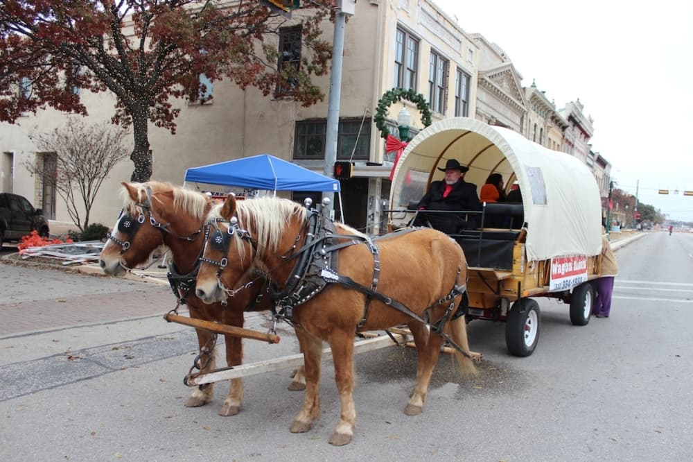 40th annual Georgetown Christmas Stroll kicks off holiday season in downtown square