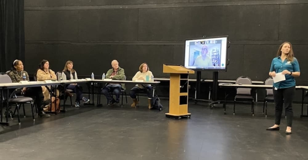 Lewisville committee hears public needs of community for potential grant funding