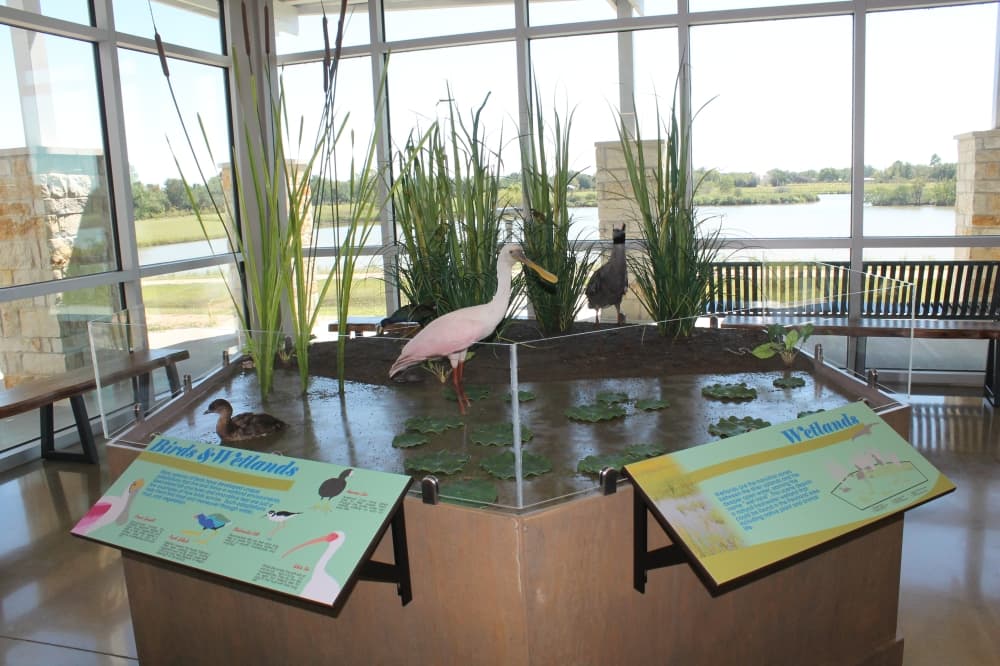 Image of exhibit at Delores Fenwick Nature Center