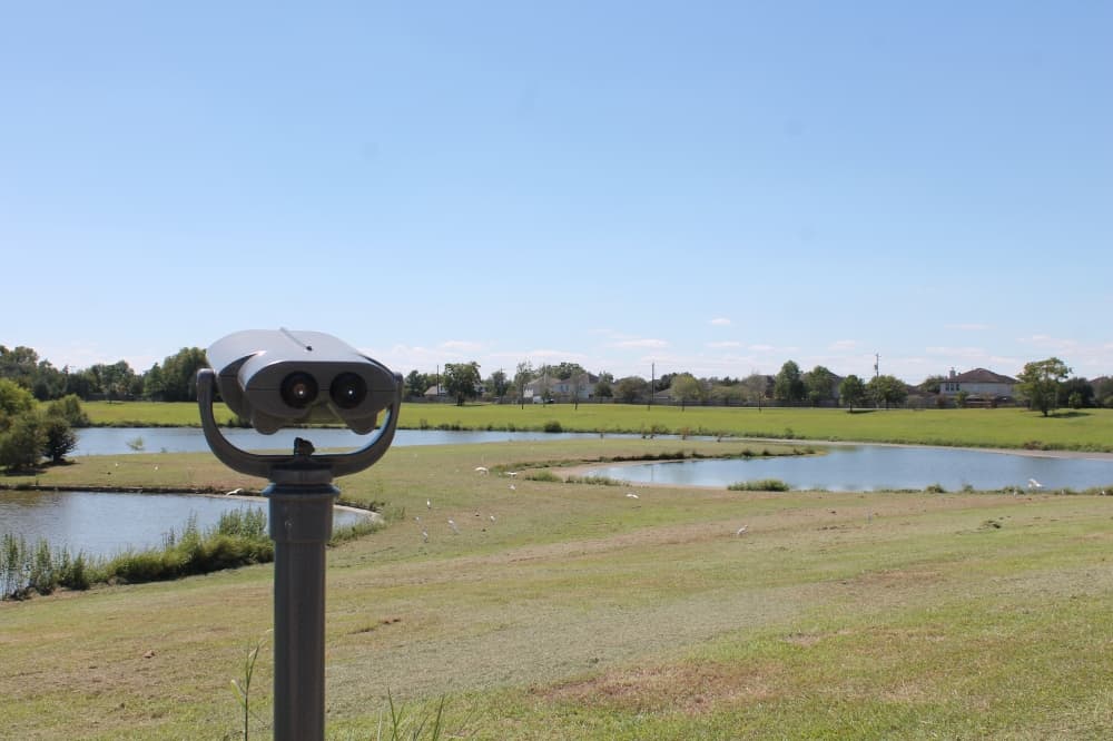 Image of scenery at Delores Fenwick Nature Center
