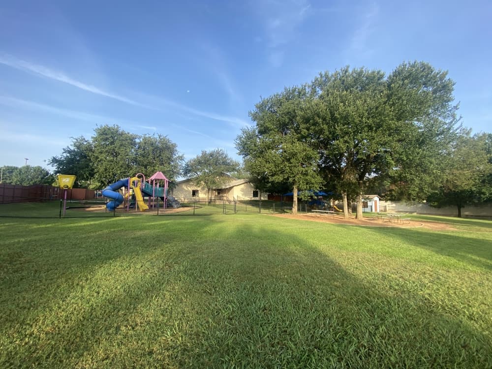 Bluebonnet School of Cedar Park reaches 20th anniversary