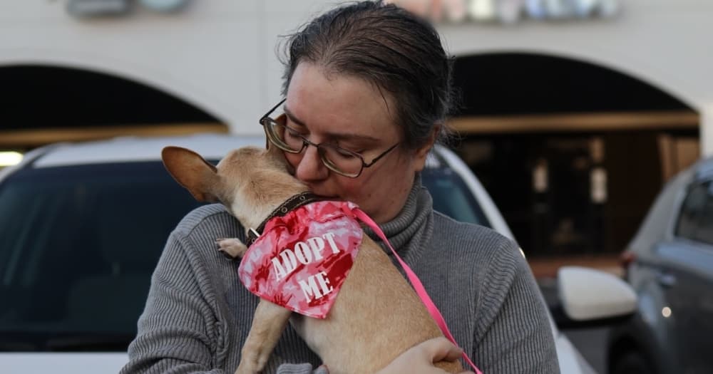 Jiffy Lube honors volunteer with San Antonio animal welfare group