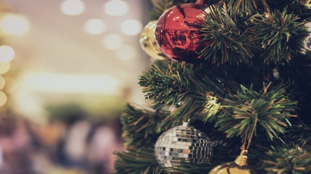 Christmas tree recycling, pet adoption and other things to do in Lewisville, Flower Mound and Highland Village