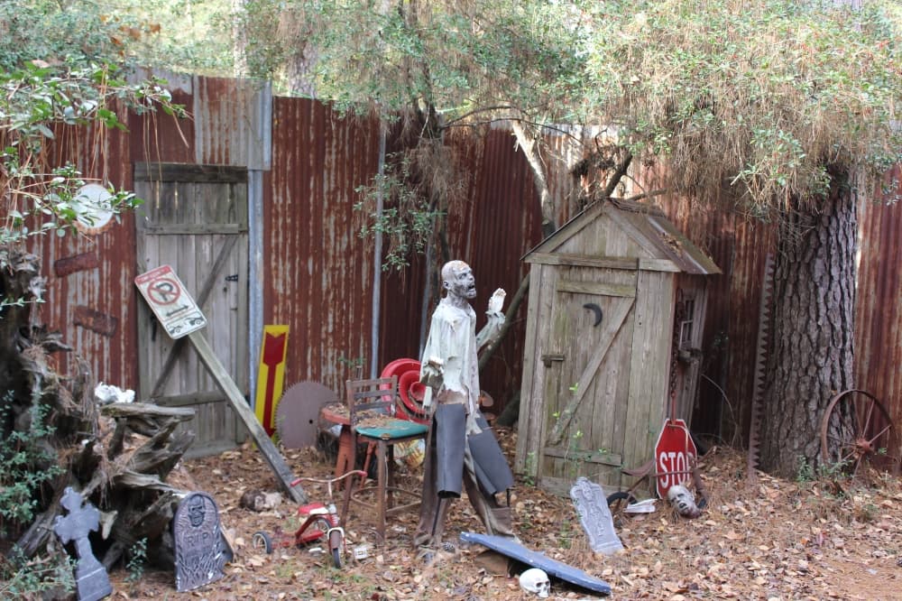 Tree House Cafe offers customers more than just a meal. The restaurant also has pet tortoises on display, a “graveyard” beside the restaurant with zombies that pop up in the windows and a rentable event space housed in a tree house. (Chandler France/Community Impact Newspaper)
