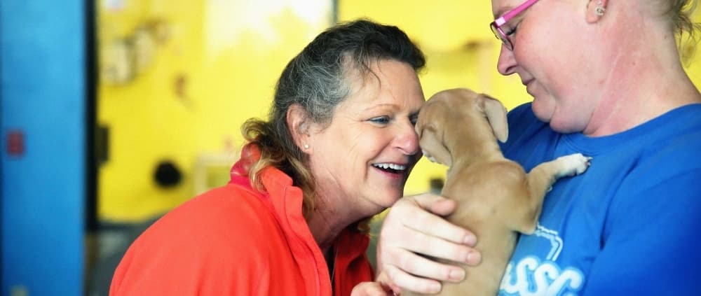 Wilco Regional Animal Shelter to limit services through Jan. 2 due to staffing shortages