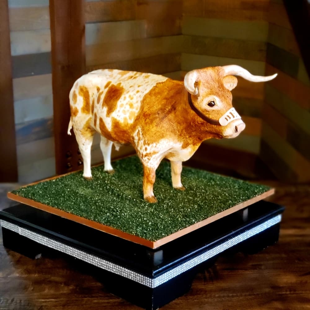 Cakes Rock's Bevo cake