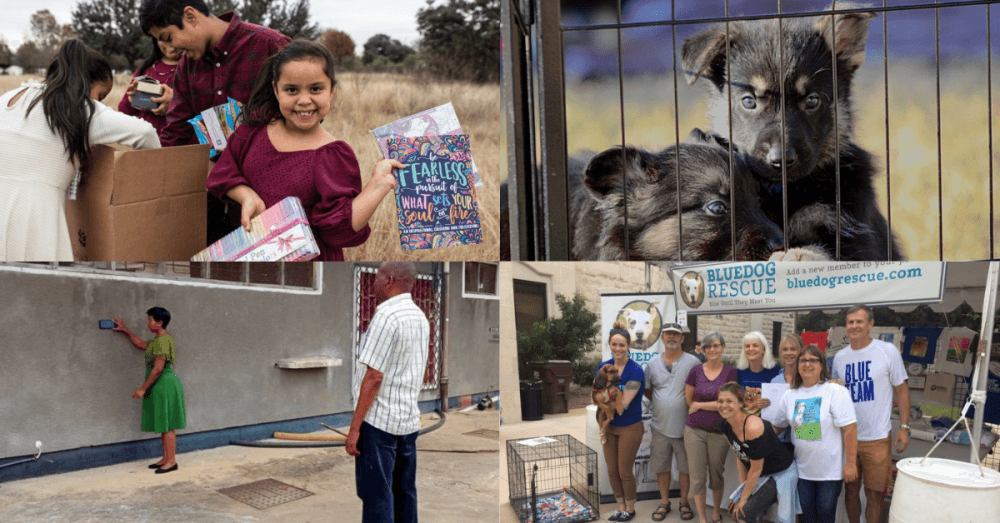 From world-changing apps to therapy through puppies: 6 nonprofits featured in 2021 in Round Rock, Pflugerville and Hutto