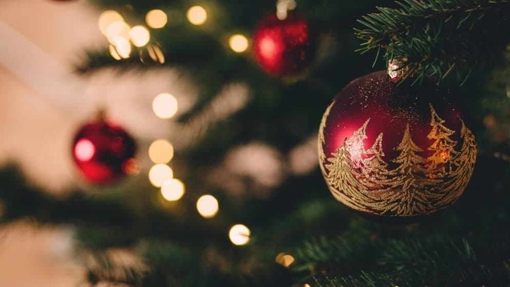 Here's how to recycle your holiday tree in Frisco