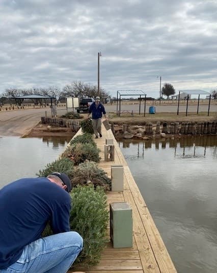 SJRA, Texas Parks & Wildlife collecting Christmas trees for fish habitats