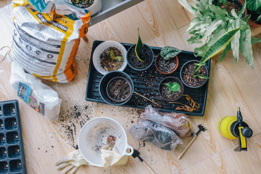 Texas A&M AgriLife Extension offers free gardening classes across WilCo to residents in January