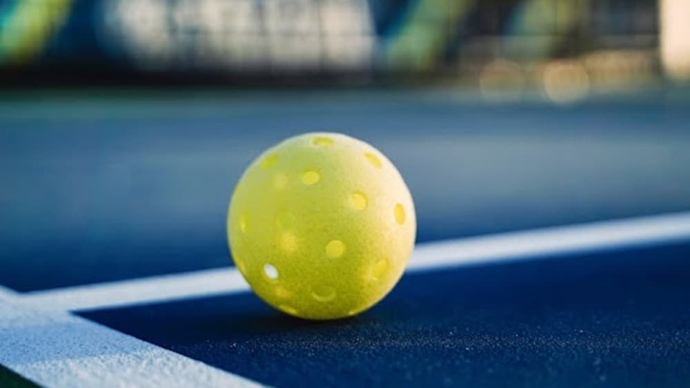 Two Richardson parks now have pickleball courts