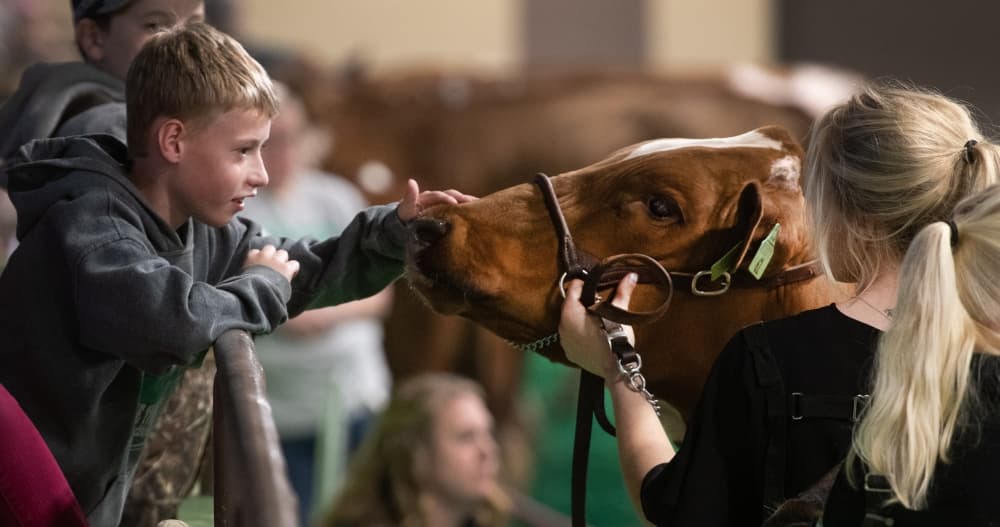 A boy at the Fort Worth Stock Show & Rodeo.