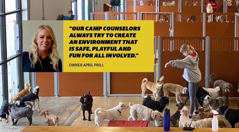 Luxury dog day care center Camp Bow Wow offers ‘safe, playful’ space in Plano