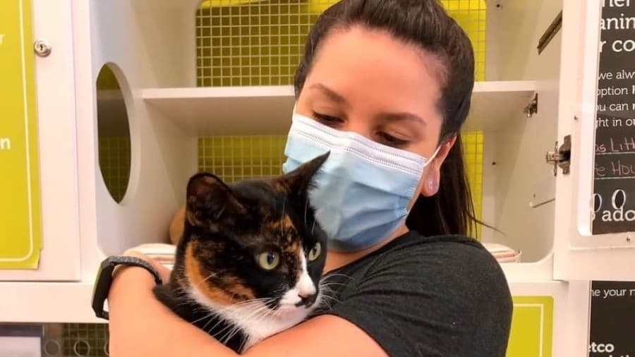 Texas Litter Control partners with city of Humble for community cat pilot program
