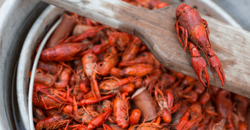 Local art shows, acoustic open jam and mud bugs: 5 things to do this weekend in Round Rock and Pflugerville, Jan. 21-23