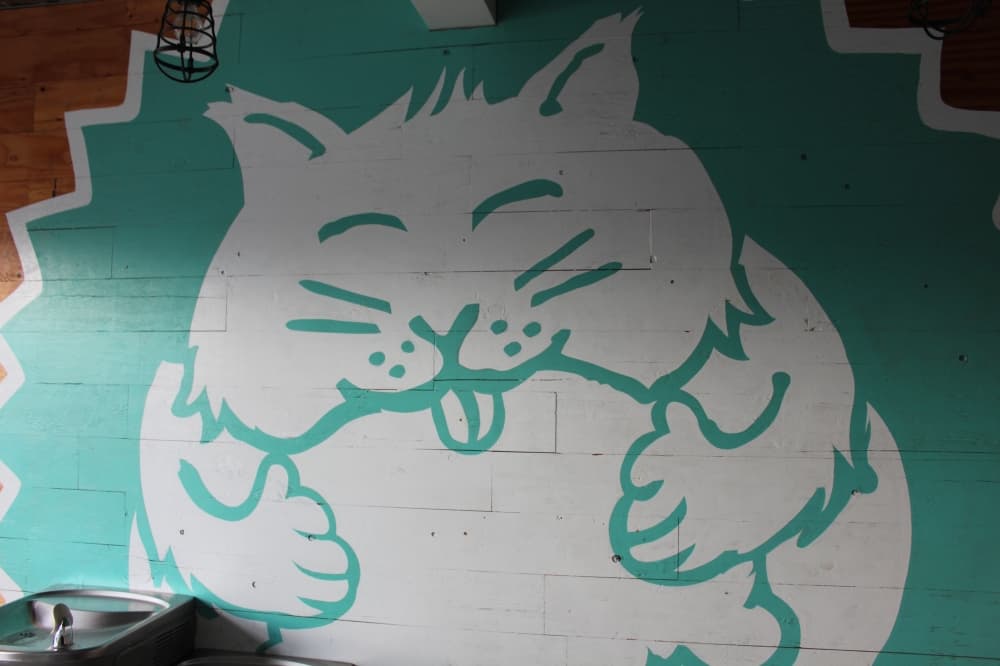 The business is named after Johnston’s late cat, nicknamed Fat Cat. (Sierra Rozen/Community Impact Newspaper)