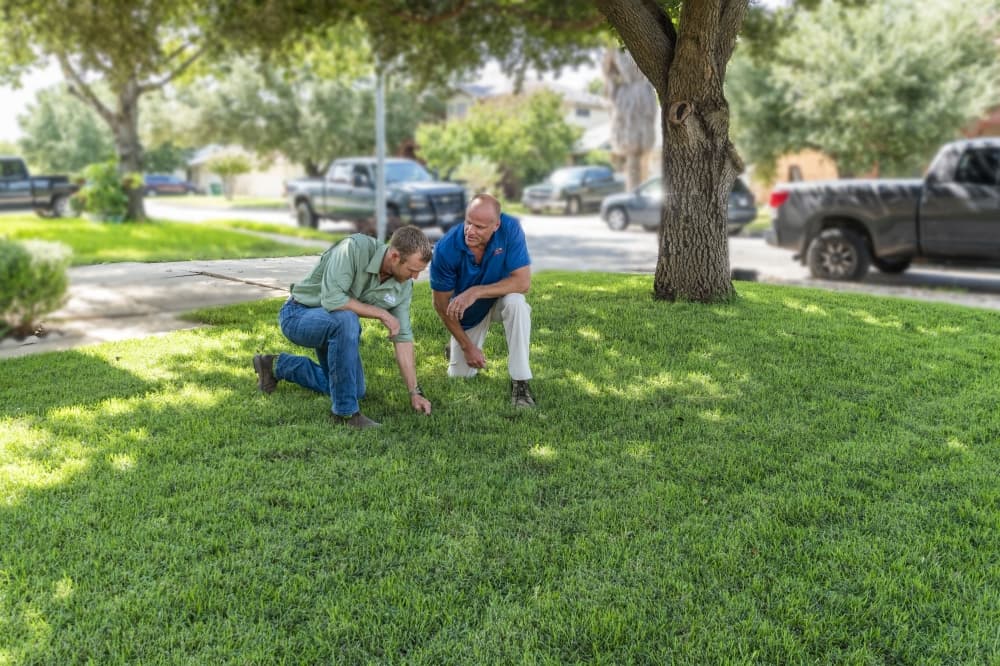 luke hawthorne and emerald lawns employee kneel on lush green grass to inspect it