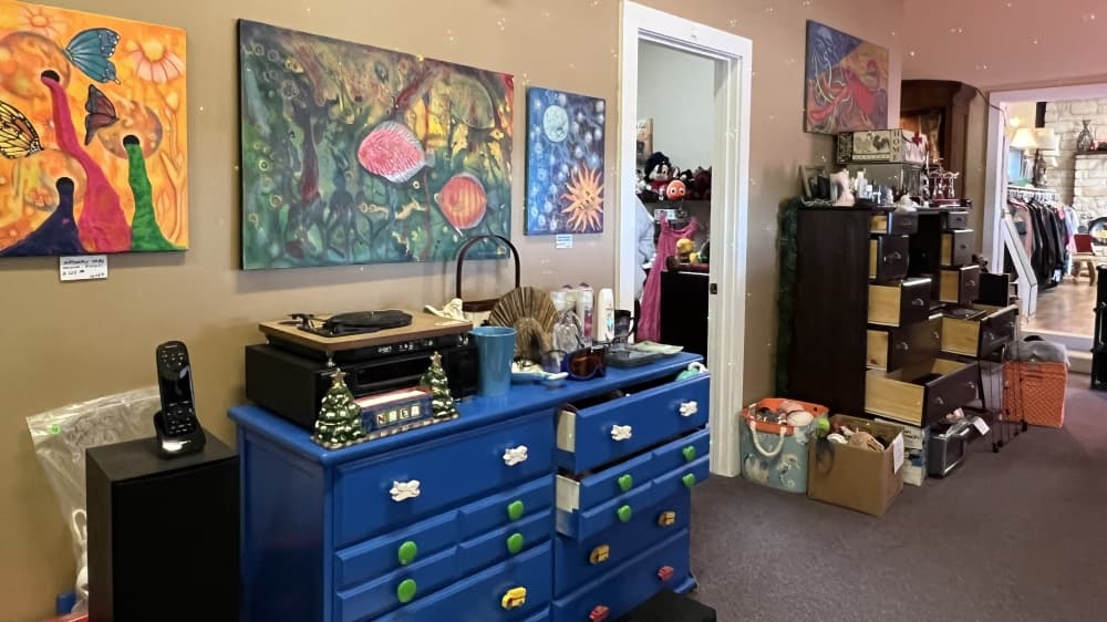 Thrift store benefitting animal shelters opens in Hudson Bend