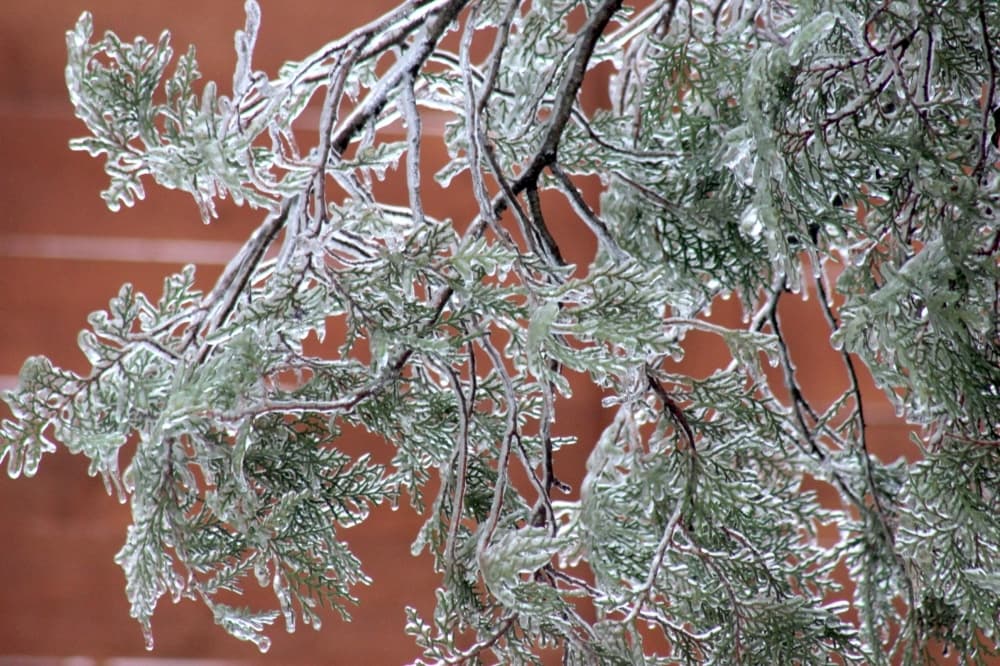 WINTER STORM: GISD closed Feb. 3-4; Georgetown postpones operations