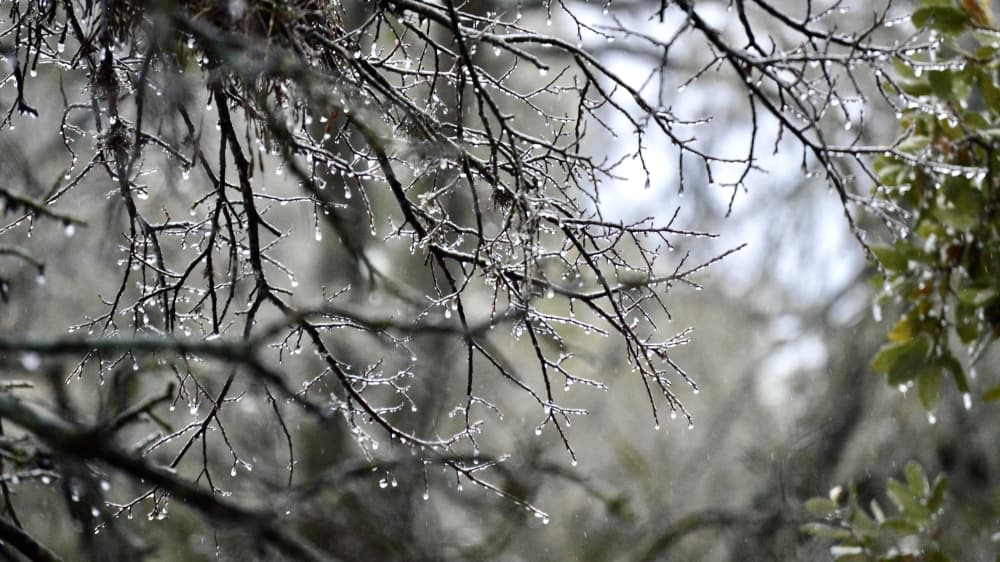 Icy roads, local updates: Feb. 3 winter weather news in Cedar Park, Leander
