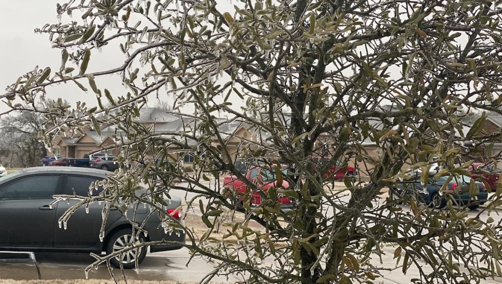 Hutto ISD extends cancellations into Feb. 4