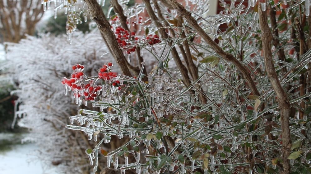 Winter weather causes closures, slick roads across Dallas-Fort Worth; Awesome Times to open in Highland Village this spring and more top DFW news