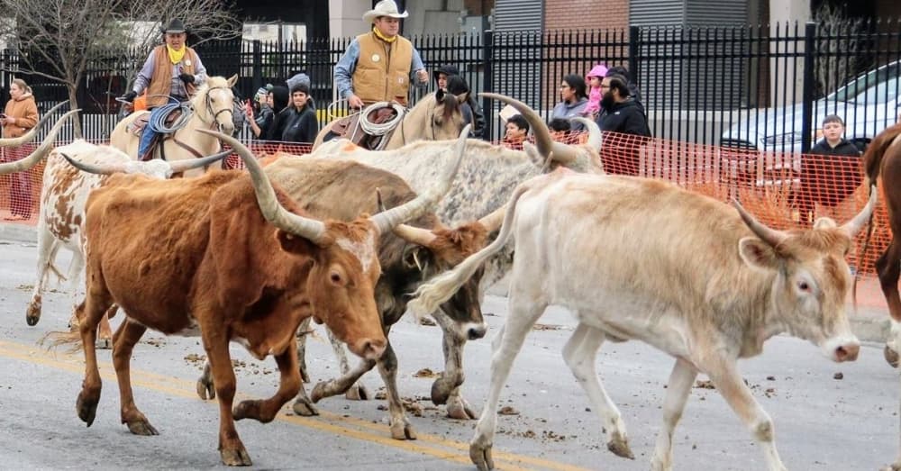 7 things to do in San Antonio this weekend, Feb. 5-6