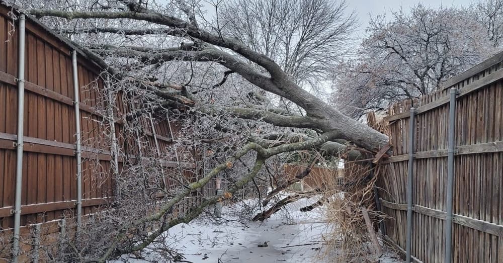 Updated: Plano gets more than 100 calls about downed trees, limbs