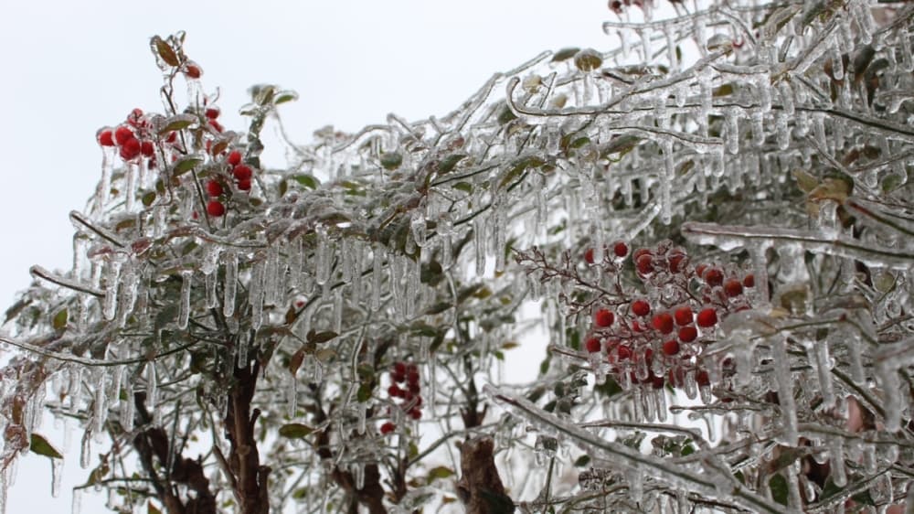 McKinney issues frozen pipe guidance, urges residents to avoid driving on icy roads