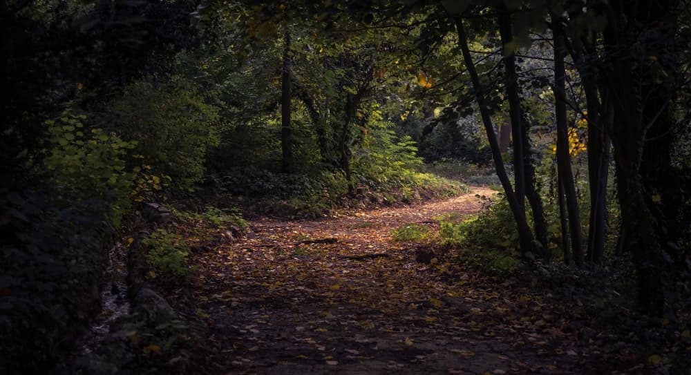 Flower Mound to discuss Trails and Bikeways Master Plan