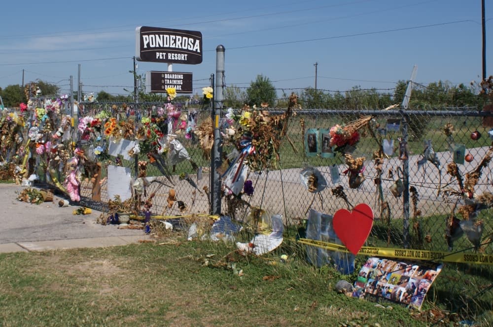 Georgetown City Council approves new fire code after Ponderosa Pet Resort fire