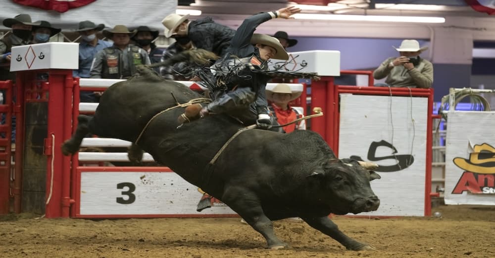 San Antonio Stock Show and Rodeo returns for 17 days