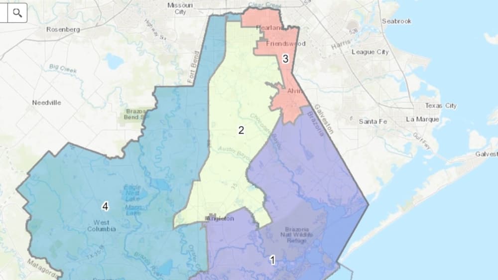 Q&A: Get to know the candidates for Brazoria County Precinct 2 commissioner ahead of primary election