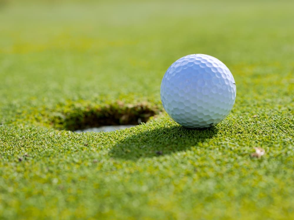 The Perfect Round to open new location in Fulshear