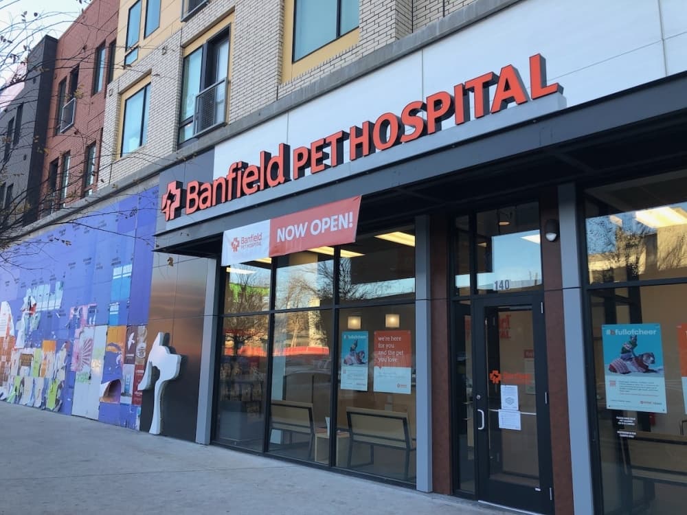 Pet hospital opening, two pet stores closing in Central Austin