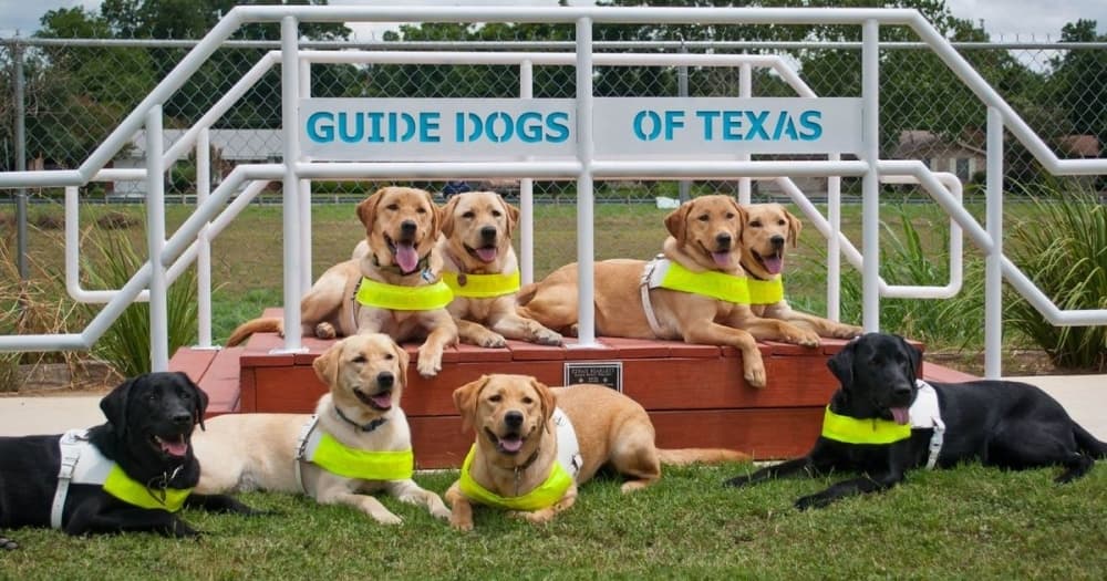 San Antonio nonprofit Guide Dogs of Texas, which trains and provides guide dogs to help people with vision loss, announced a new CEO, William “Billy” Rader, in February 2022. (Courtesy Guide Dogs of Texas)
