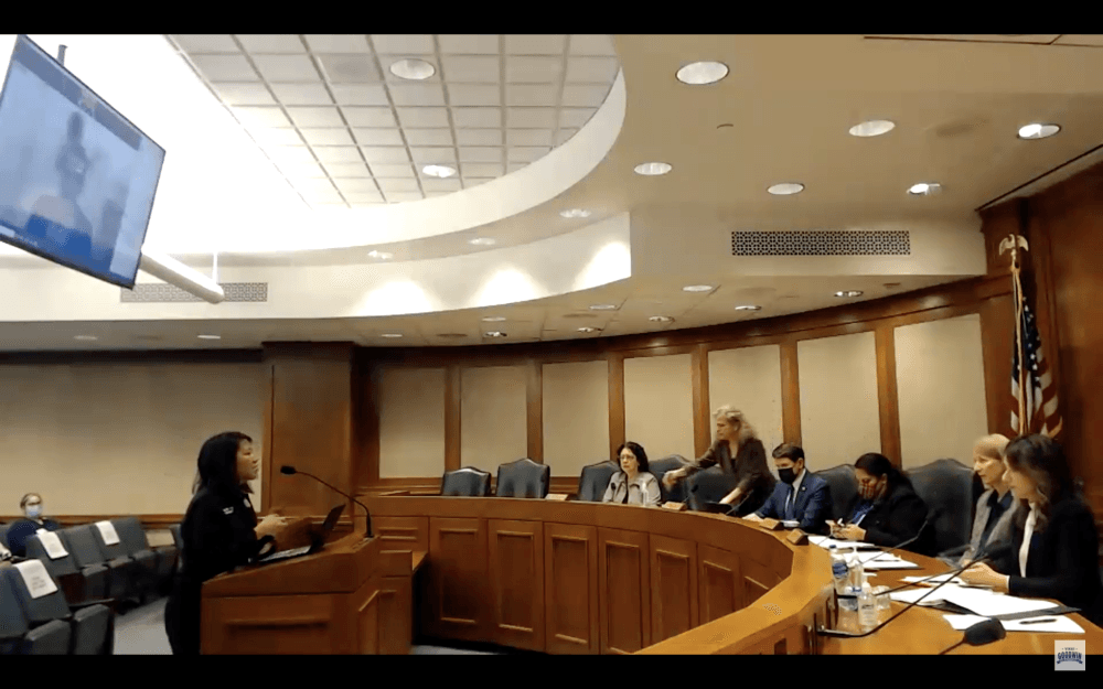 State representatives honor victims, seek answers on one-year anniversary of winter storm