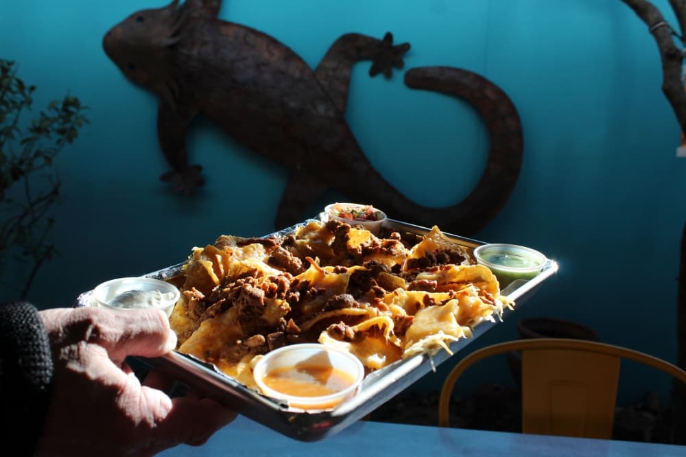 Nachos ($8-$10) come with a choice of chicken, al pastor pork, steak or tamales and are served with pico de gallo, sour cream, avocado salsa and arbol salsa. (Karen Chaney/Community Impact Newspaper)