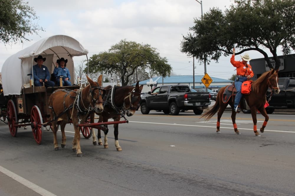 Trail riders paraded along Main Street on Feb. 22 after leaving the Tomball Historic Depot Plaza for an overnight stay at Spring Creek Park. (Kayli Thompson/Community Impact Newspaper)