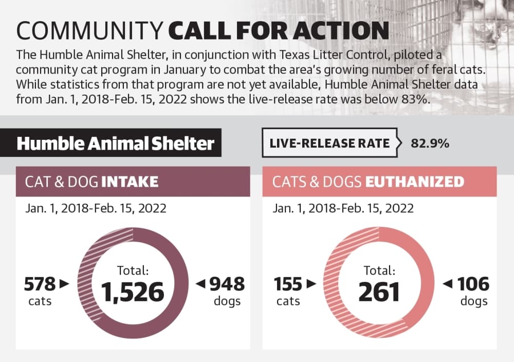 The Humble Animal Shelter, in conjunction with Texas Litter Control, piloted a community cat program in January to combat the area’s growing number of feral cats. While statistics from that program are not yet available, Humble Animal Shelter data from Jan. 1, 2018-Feb. 15, 2022 shows the live-release rate was below 83%. (Ronald Winters/Community Impact Newspaper) 
